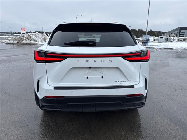 2026 Lexus NX 350 (Stk: C101043K) in Cranbrook - Image 4 of 22 2026 Lexus NX 350 (Stk: C101043K) in Cranbrook - Image 4 of 22