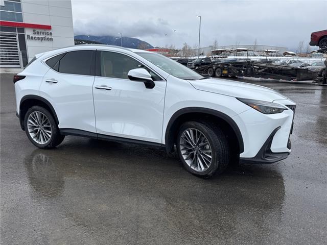 2026 Lexus NX 350 (Stk: C101043K) in Cranbrook - Image 7 of 22 2026 Lexus NX 350 (Stk: C101043K) in Cranbrook - Image 7 of 22