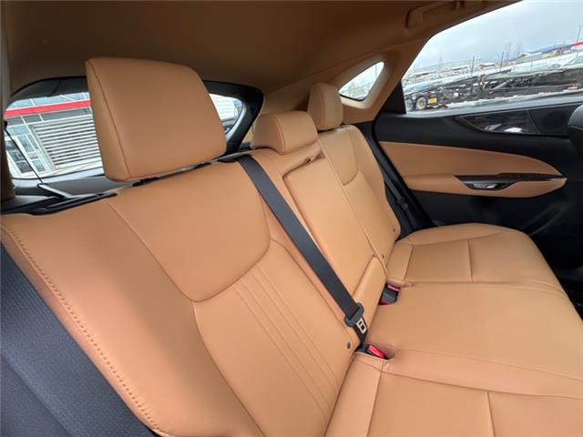 2026 Lexus NX 350 (Stk: C101043K) in Cranbrook - Image 12 of 22 2026 Lexus NX 350 (Stk: C101043K) in Cranbrook - Image 12 of 22