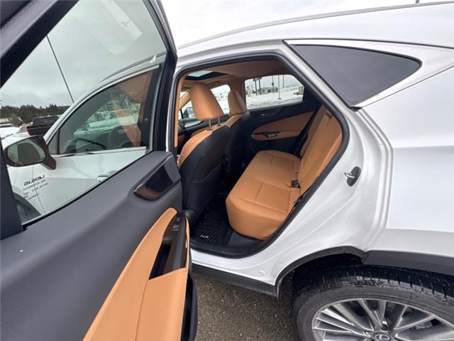 2026 Lexus NX 350 (Stk: C101043K) in Cranbrook - Image 13 of 22 2026 Lexus NX 350 (Stk: C101043K) in Cranbrook - Image 13 of 22