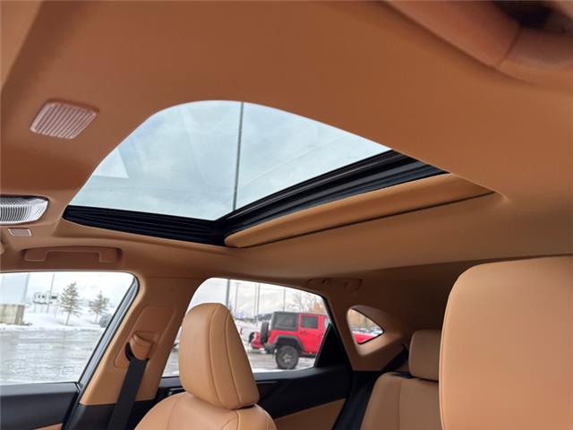 2026 Lexus NX 350 (Stk: C101043K) in Cranbrook - Image 19 of 22 2026 Lexus NX 350 (Stk: C101043K) in Cranbrook - Image 19 of 22