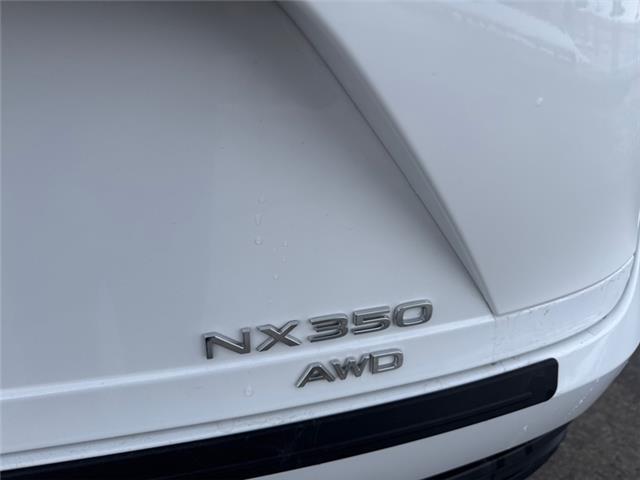 2026 Lexus NX 350 (Stk: C101043K) in Cranbrook - Image 21 of 22 2026 Lexus NX 350 (Stk: C101043K) in Cranbrook - Image 21 of 22