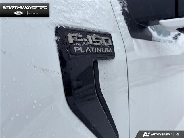 2026 Ford F-150 Platinum (Stk: 6F142596) in Brantford - Image 8 of 22