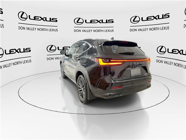 2024 Lexus NX 350h  (Stk: 14U7297) in Markham - Image 7 of 28