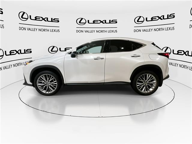2025 Lexus NX 350h  (Stk: 14111816A) in Markham - Image 6 of 29