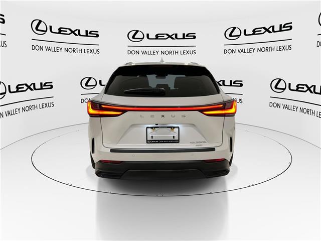 2025 Lexus NX 350h  (Stk: 14111816A) in Markham - Image 8 of 29