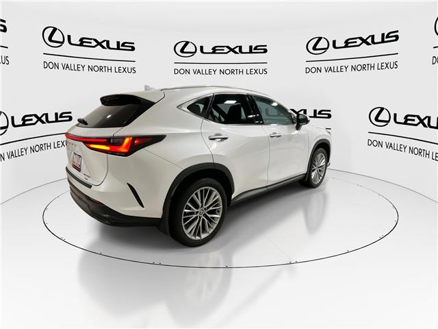 2025 Lexus NX 350h  (Stk: 14111816A) in Markham - Image 9 of 29
