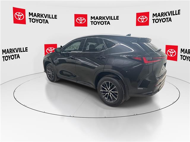 2023 Lexus NX 250 Base (Stk: 11U4367) in Markham - Image 7 of 29