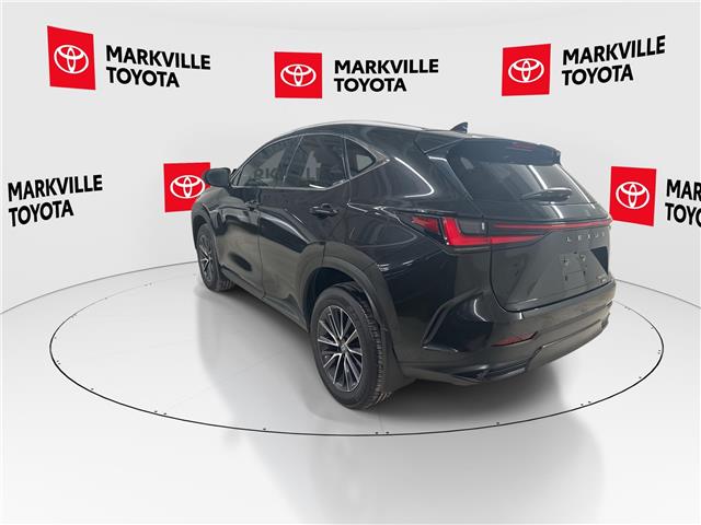 2023 Lexus NX 250 Base (Stk: 11U4367) in Markham - Image 8 of 29
