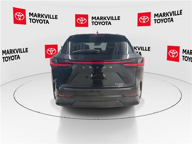 2023 Lexus NX 250 Base (Stk: 11U4367) in Markham - Image 9 of 29