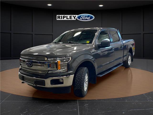 2019 Ford F-150 XLT (Stk: 25387B) in Melfort - Image 1 of 15