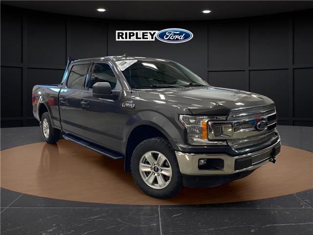 2019 Ford F-150 XLT (Stk: 25387B) in Melfort - Image 3 of 15 2019 Ford F-150 XLT (Stk: 25387B) in Melfort - Image 3 of 15