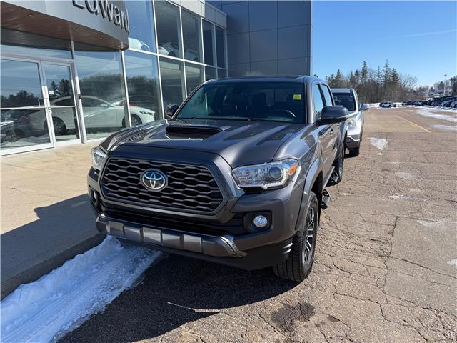 2022 Toyota Tacoma Base (Stk: 24750) in Pembroke - Image 5 of 30 2022 Toyota Tacoma Base (Stk: 24750) in Pembroke - Image 5 of 30