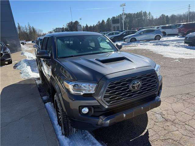 2022 Toyota Tacoma Base (Stk: 24750) in Pembroke - Image 7 of 30 2022 Toyota Tacoma Base (Stk: 24750) in Pembroke - Image 7 of 30