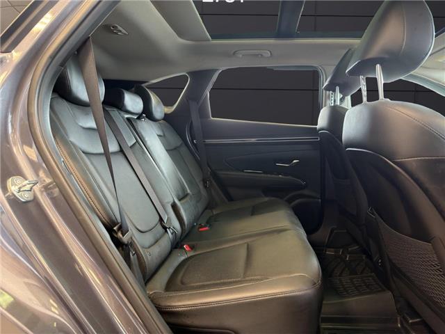 2024 Hyundai Tucson Hybrid Ultimate (Stk: B260043A) in Gatineau - Image 15 of 17