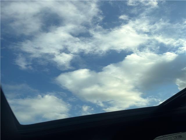 2023 Cadillac XT5 Sport (Stk: 316180RA) in Port Hope - Image 16 of 23