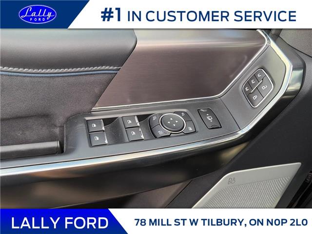 2026 Ford F-250 Platinum (Stk: LFFF01507) in Tilbury - Image 6 of 15