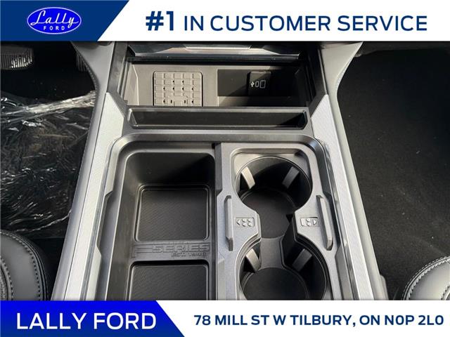 2026 Ford F-250 Platinum (Stk: LFFF01507) in Tilbury - Image 14 of 15