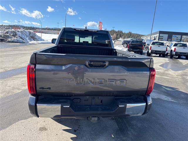 2023 Toyota Tundra SR (Stk: T112463A) in Cranbrook - Image 4 of 19
