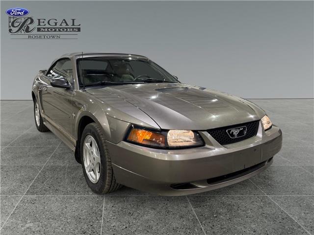 2002 Ford Mustang Base (Stk: S9848C) in ROSETOWN - Image 1 of 17
