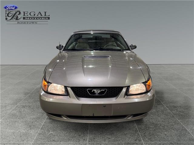 2002 Ford Mustang Base (Stk: S9848C) in ROSETOWN - Image 8 of 17