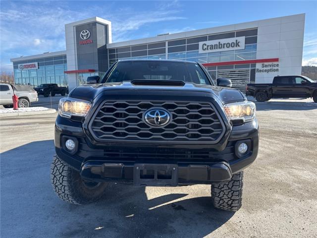 2021 Toyota Tacoma Base (Stk: T113226A) in Cranbrook - Image 8 of 20
