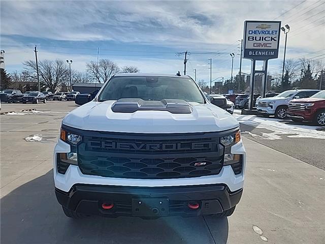 2024 Chevrolet Silverado 1500 Custom Trail Boss (Stk: 6C010A) in Blenheim - Image 3 of 18
