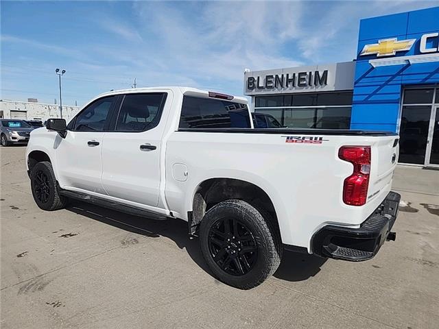 2024 Chevrolet Silverado 1500 Custom Trail Boss (Stk: 6C010A) in Blenheim - Image 6 of 18