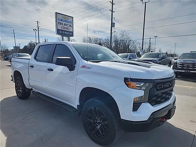 2024 Chevrolet Silverado 1500 Custom Trail Boss (Stk: 6C010A) in Blenheim - Image 11 of 18