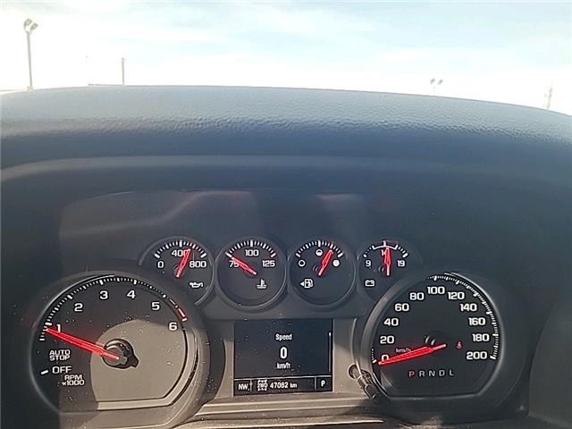 2024 Chevrolet Silverado 1500 Custom Trail Boss (Stk: 6C010A) in Blenheim - Image 16 of 18