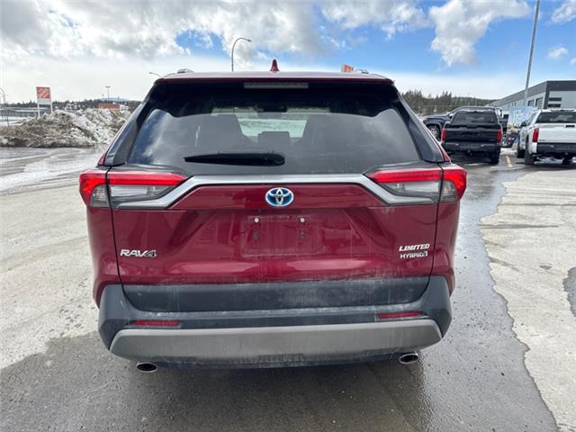 2023 Toyota RAV4 Hybrid Limited (Stk: W170672M) in Cranbrook - Image 4 of 21