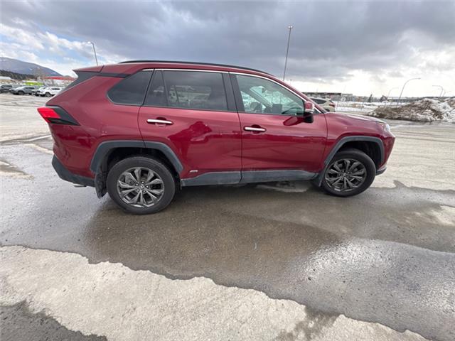 2023 Toyota RAV4 Hybrid Limited (Stk: W170672M) in Cranbrook - Image 6 of 21