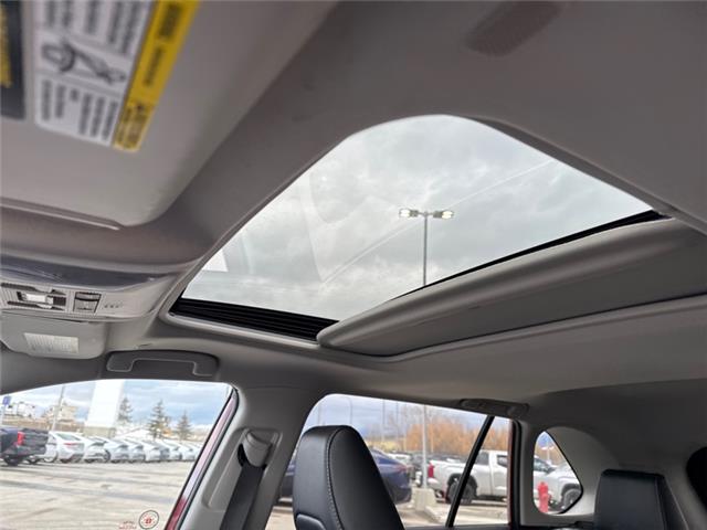 2023 Toyota RAV4 Hybrid Limited (Stk: W170672M) in Cranbrook - Image 18 of 21