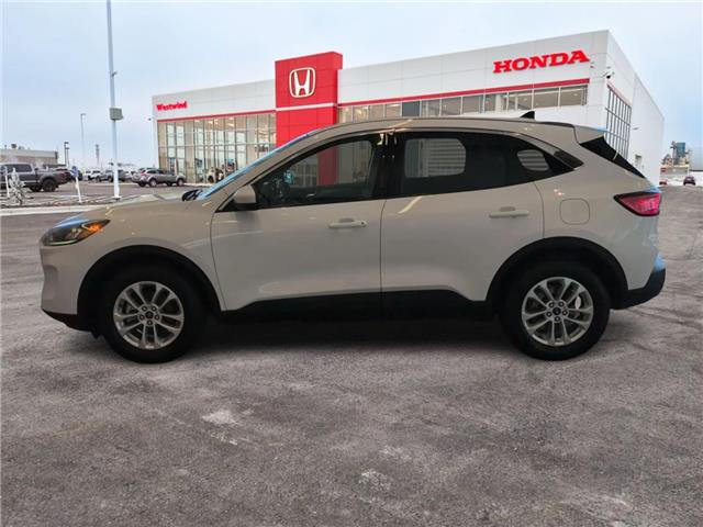 2020 Ford Escape SE (Stk: C1696) in Lethbridge - Image 6 of 22