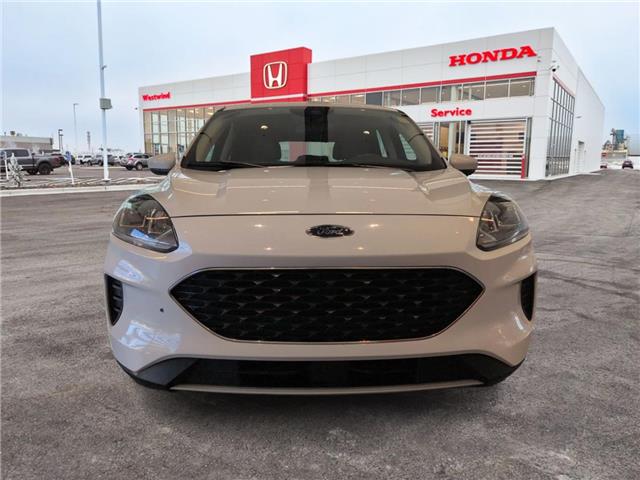2020 Ford Escape SE (Stk: C1696) in Lethbridge - Image 7 of 22