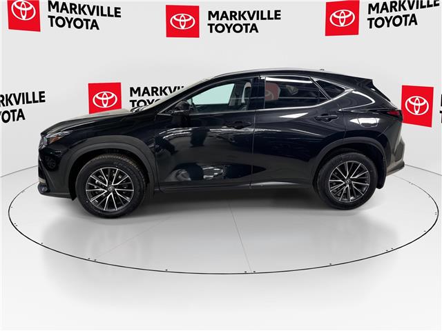 2025 Lexus NX 250 Base (Stk: 11U4388) in Markham - Image 6 of 30