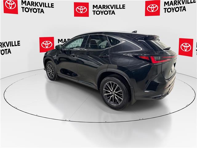 2025 Lexus NX 250 Base (Stk: 11U4388) in Markham - Image 7 of 30