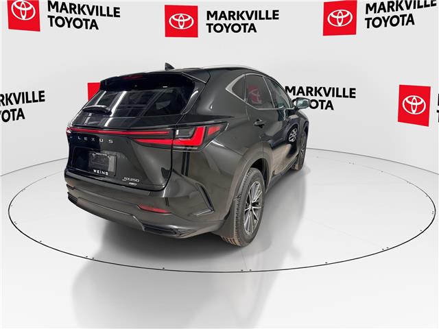 2025 Lexus NX 250 Base (Stk: 11U4388) in Markham - Image 10 of 30