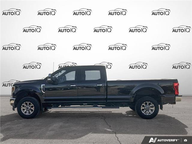 2019 Ford F-250 XLT (Stk: P6934) in Oakville - Image 3 of 23