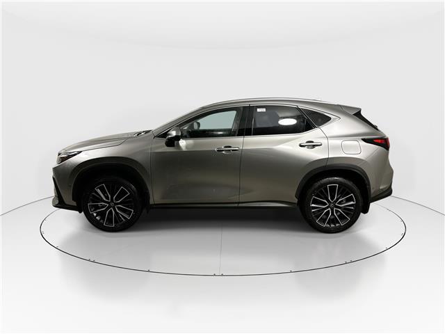 2026 Lexus NX 450h+  (Stk: 14112133) in Markham - Image 4 of 19