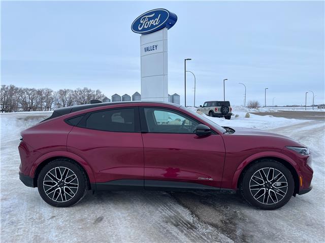 2025 Ford Mustang Mach-E Premium (Stk: S27668) in Hague - Image 1 of 13