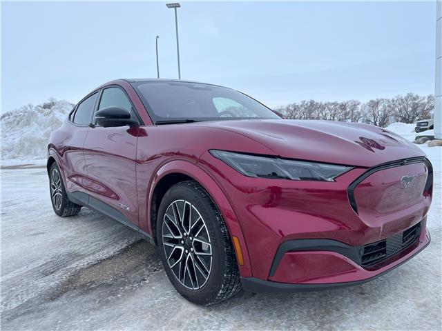 2025 Ford Mustang Mach-E Premium (Stk: S27668) in Hague - Image 2 of 13