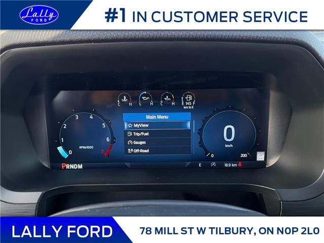 2026 Ford F-150 Tremor (Stk: LFFF01670) in Tilbury - Image 10 of 15