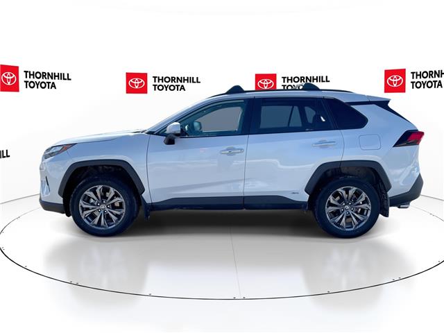 2025 Toyota RAV4 Hybrid Limited (Stk: 12108096A) in Concord - Image 6 of 18