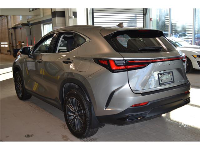 2024 Lexus NX 350h Base (Stk: 6978B) in Kingston - Image 2 of 11