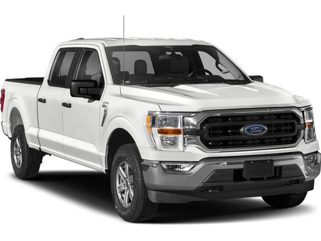 2023 Ford F-150 XLT (Stk: J0H2750) in Hamilton - Image 6 of 10