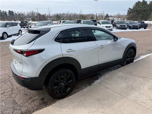 2025 Mazda CX-30 GT w/Turbo (Stk: 24757) in Pembroke - Image 11 of 27
