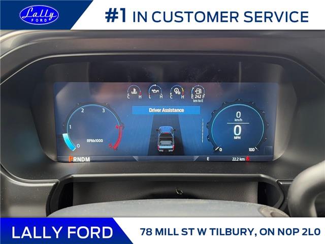 2026 Ford F-250 Platinum (Stk: LFFF01563) in Tilbury - Image 10 of 15