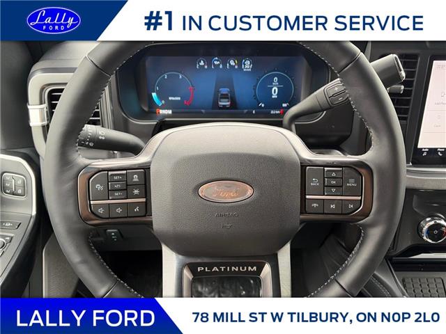2026 Ford F-250 Platinum (Stk: LFFF01563) in Tilbury - Image 11 of 15