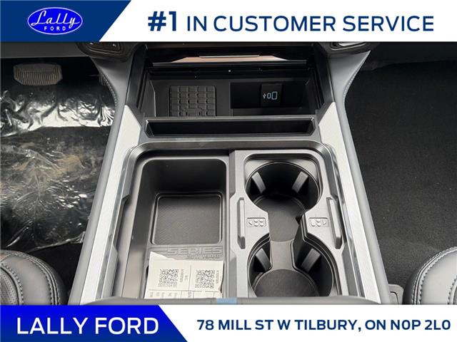 2026 Ford F-250 Platinum (Stk: LFFF01563) in Tilbury - Image 14 of 15